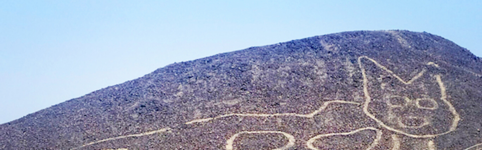 catnazca1