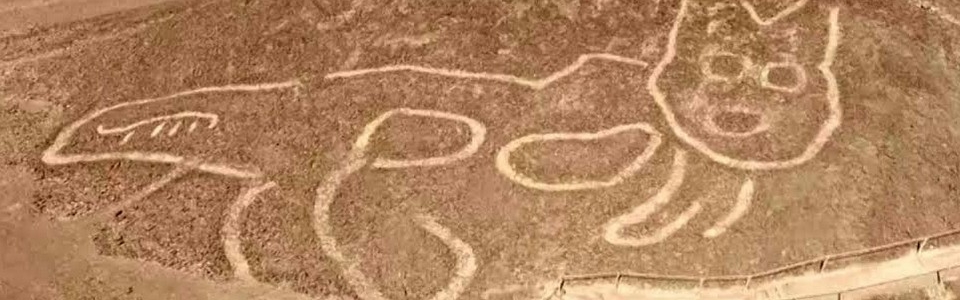 catnazca3
